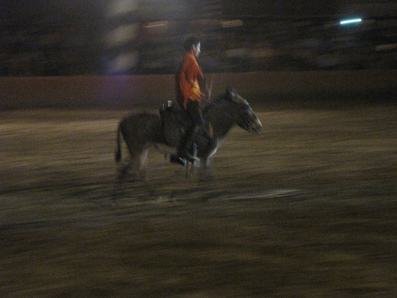 170312_chez ali marrakech ezeltje.jpg - Een beetje vaag door het weinige licht en de snelheid, maar dit is vast het best verzorgde ezeltje in Marokko. In tegenstelling tot de ezels in de Souk van Fes ziet dit ezeltje er prima verzorgd uit.